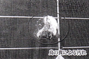 太陽光パネルの汚れの例
